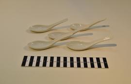 Chinese Spoon (Food Service T&E)