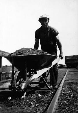 Kin Jung hauling coal in wheelbarrow